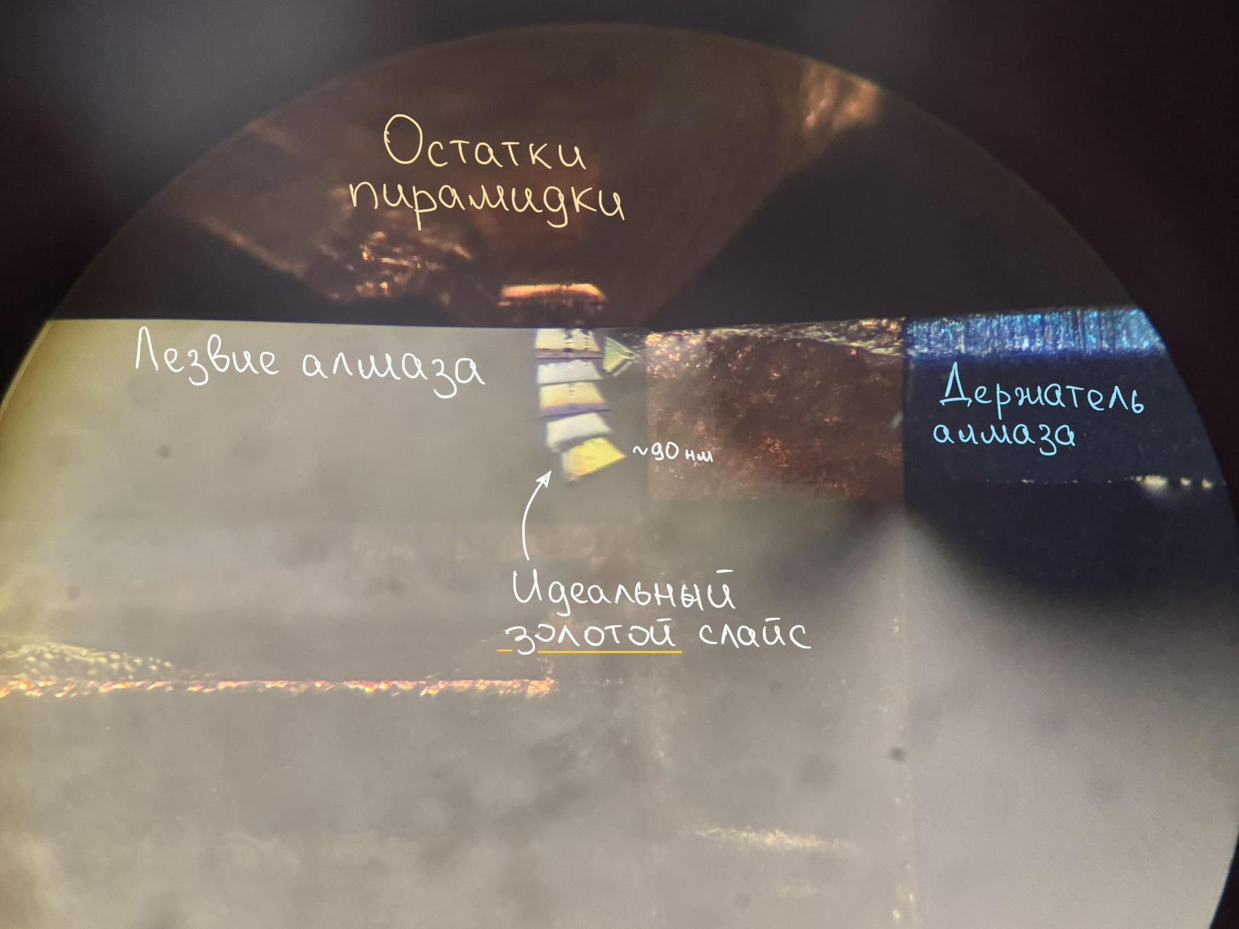 Сверху пирамидка, а снизу алмаз. Ну а эти плавающие слайсики — и есть экпоксидка с клетками!